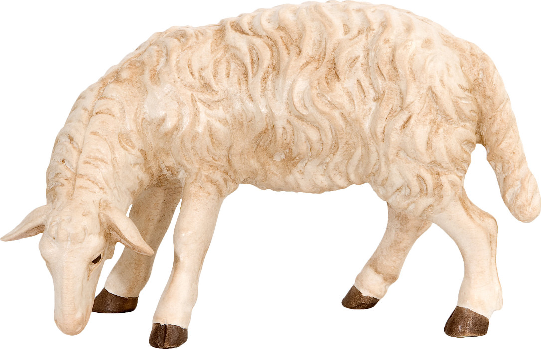 Allgäu Krippe feingefräst: Schaf fressend
