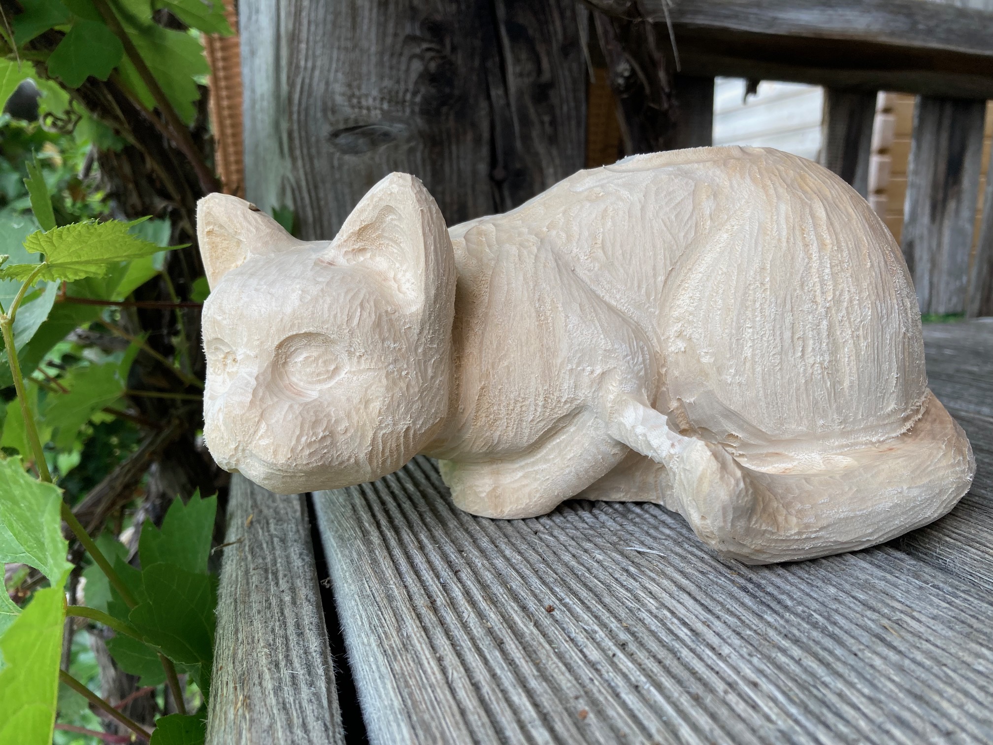 Lurking cat, wooden blank