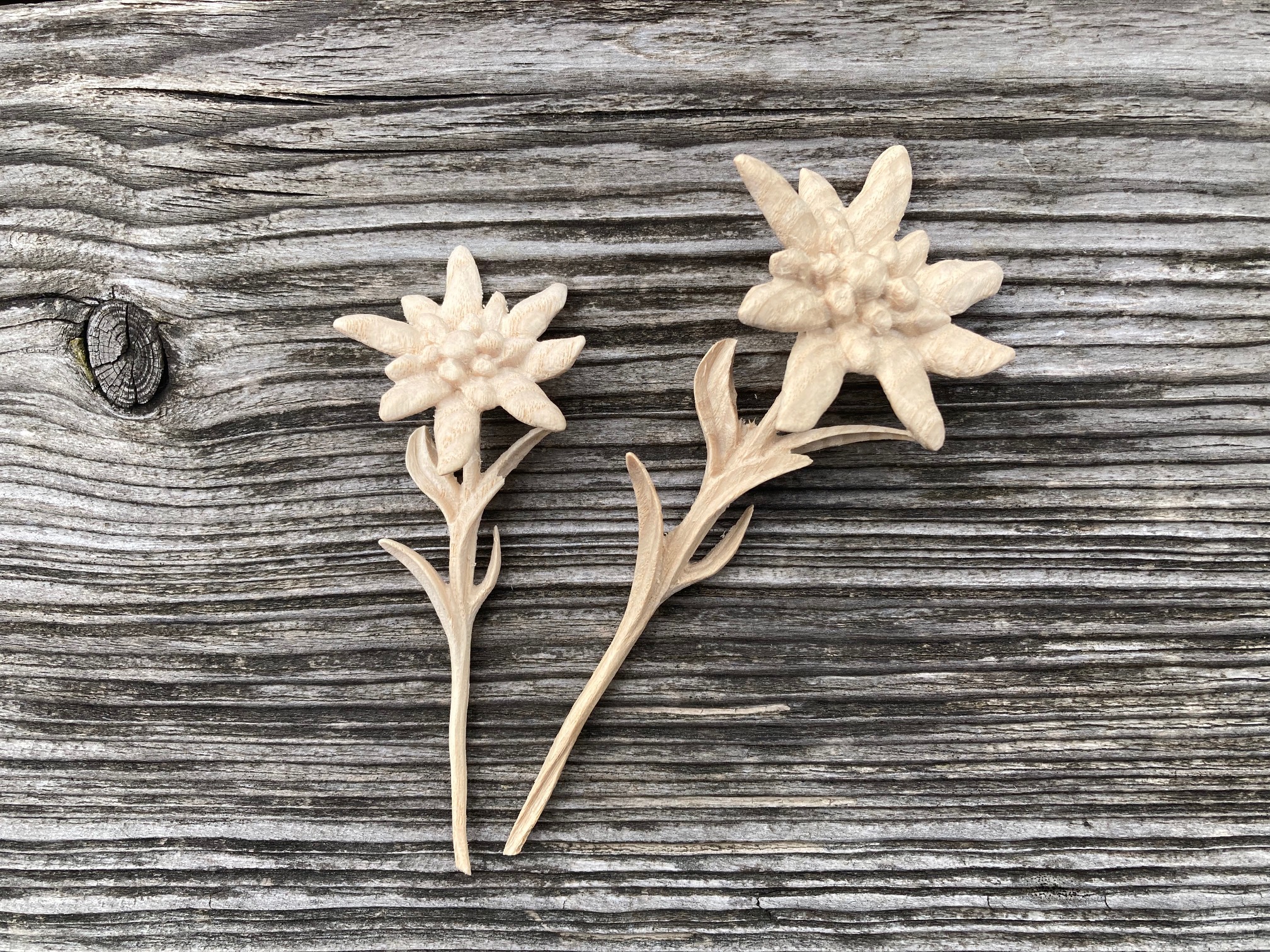 Edelweißblüte aus Holz geschnitzt z. B. für den Hut