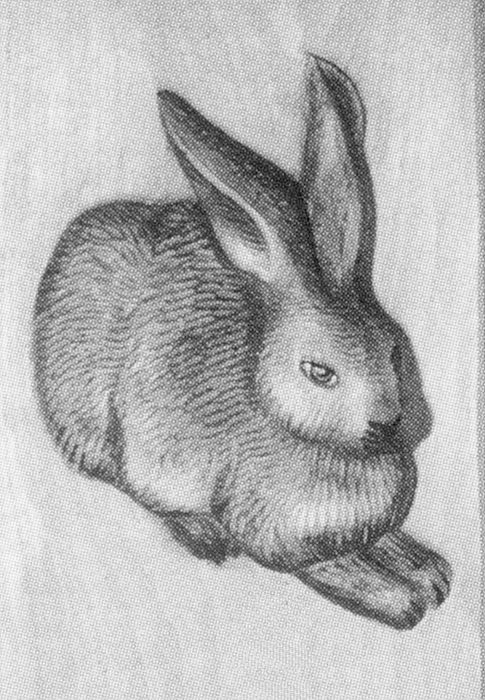 Relief Dürer Hase, 24 cm, zum selber Schnitzen