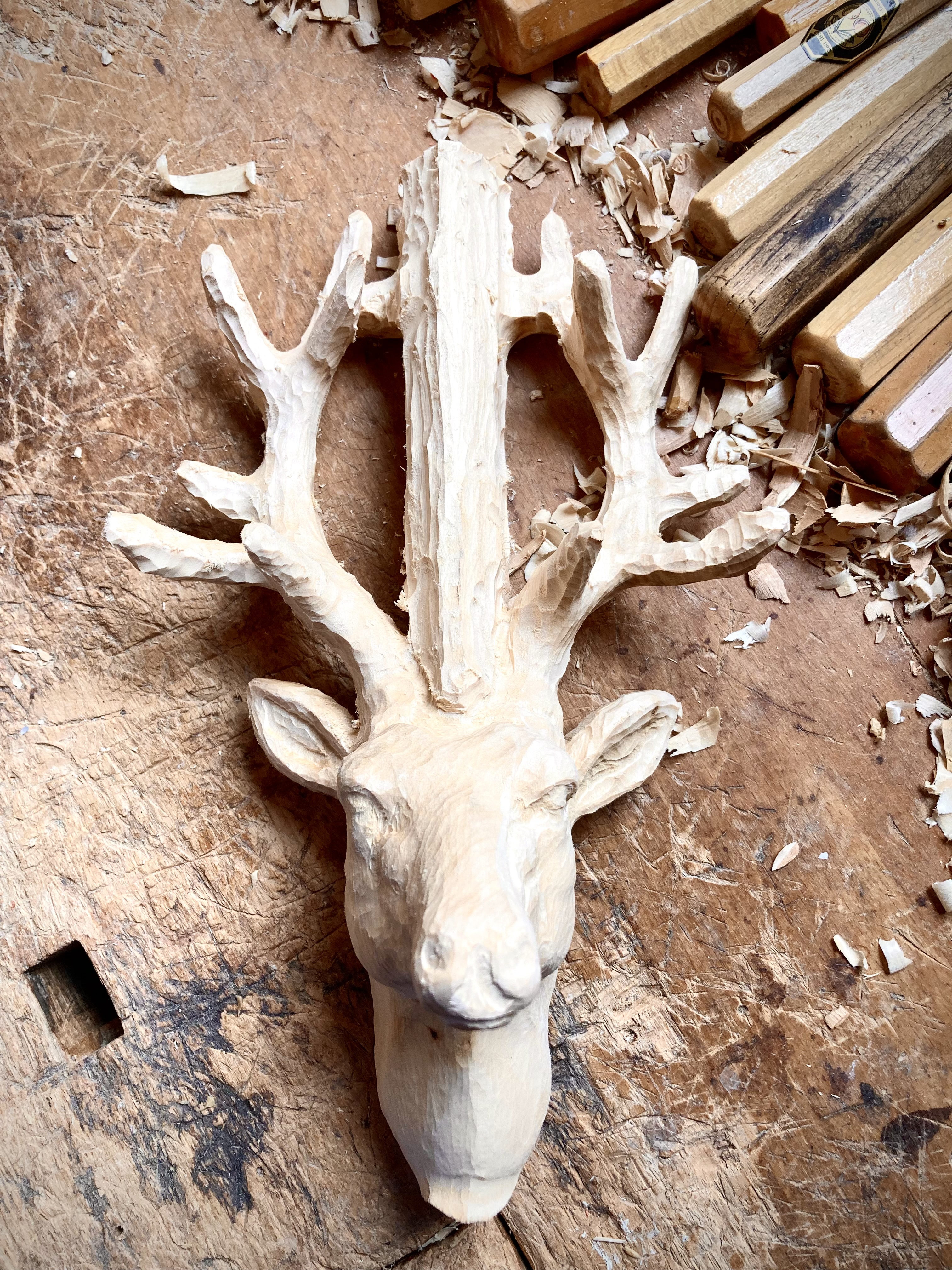 Hirschkopf, 27 cm, Rohling zum Schnitzen
