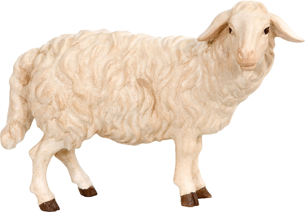 Allgäu Krippe feingefräst: Schaf stehend