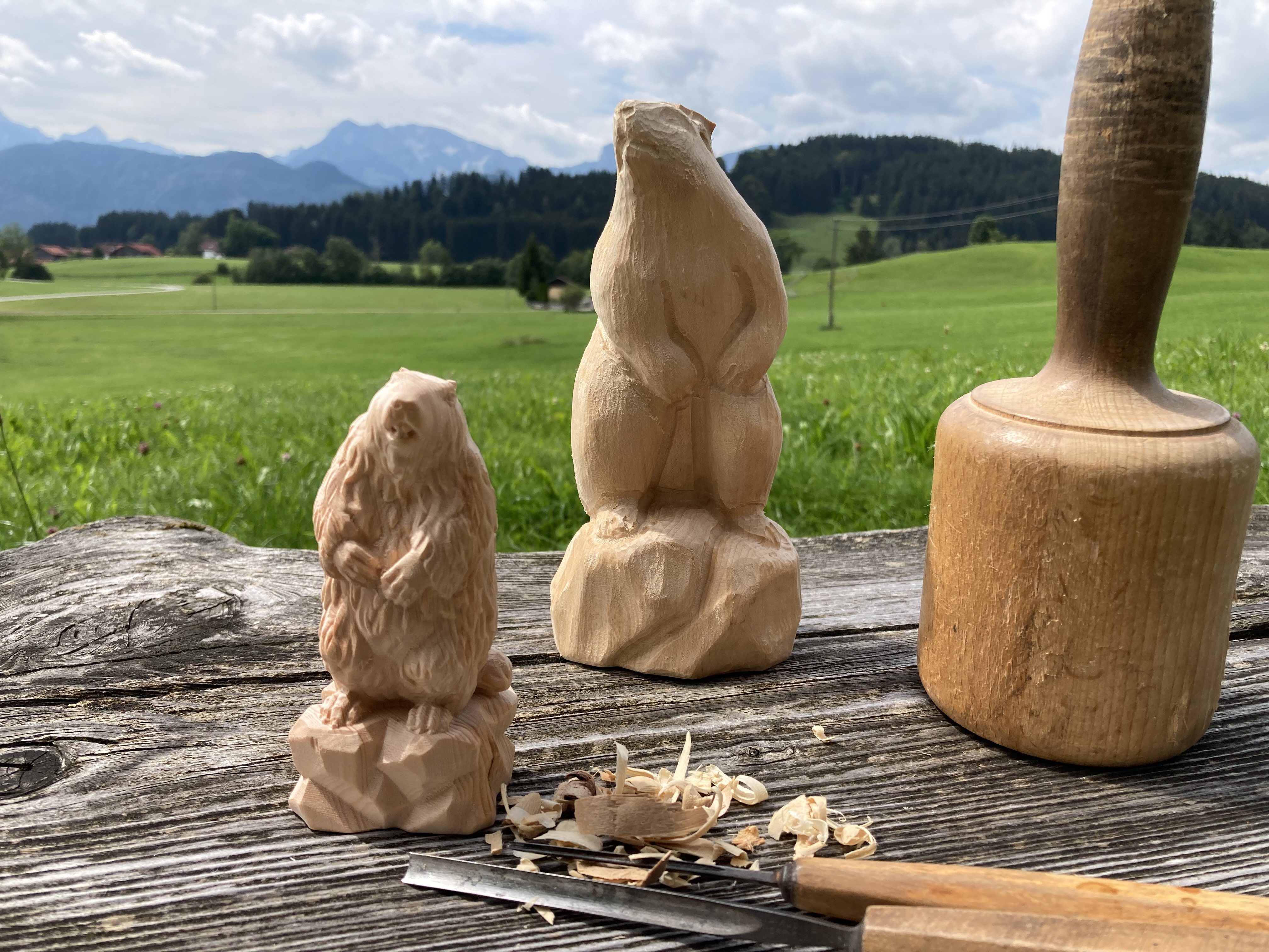 Murmeltier, Rohling zum Schnitzen