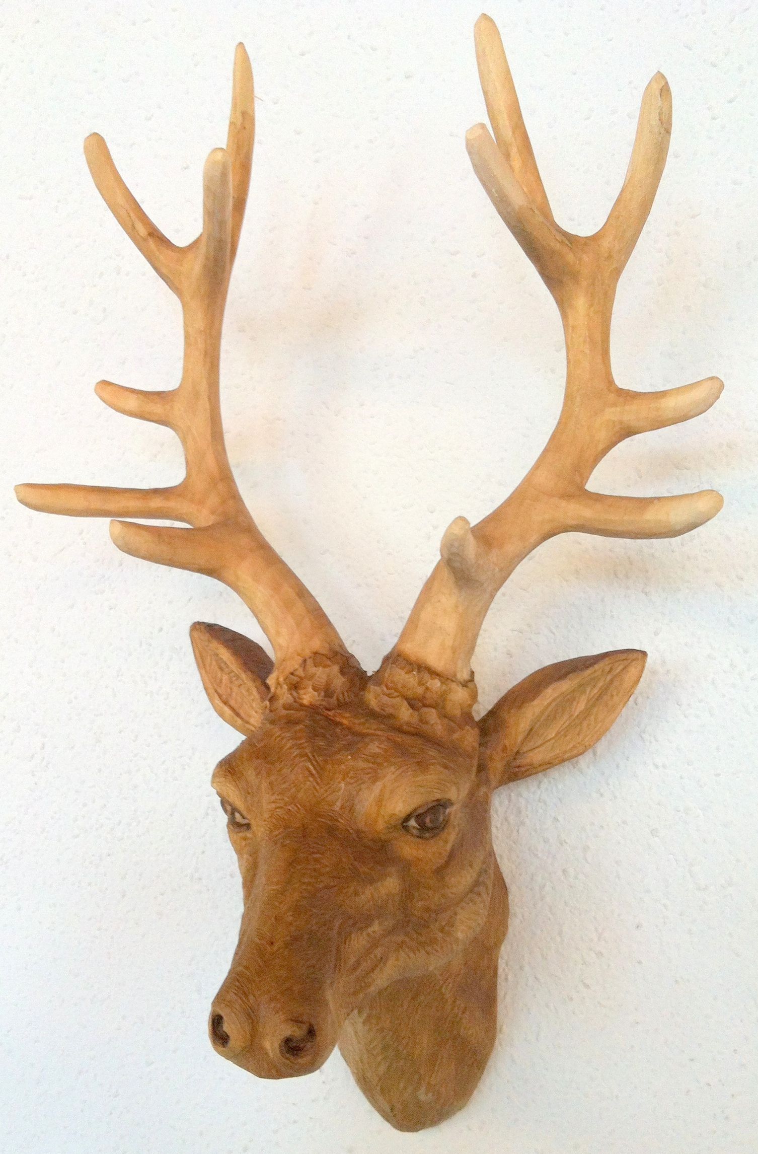 Hirschkopf, 27 cm, Rohling zum Schnitzen