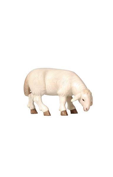 Schaf fressend zur geschnitzten modernen Krippe