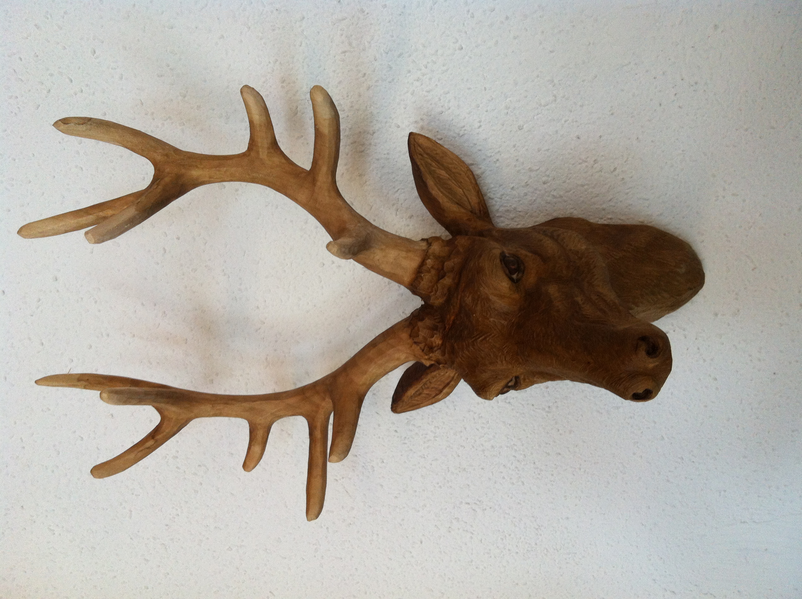 Hirschkopf, 27 cm, Rohling zum Schnitzen