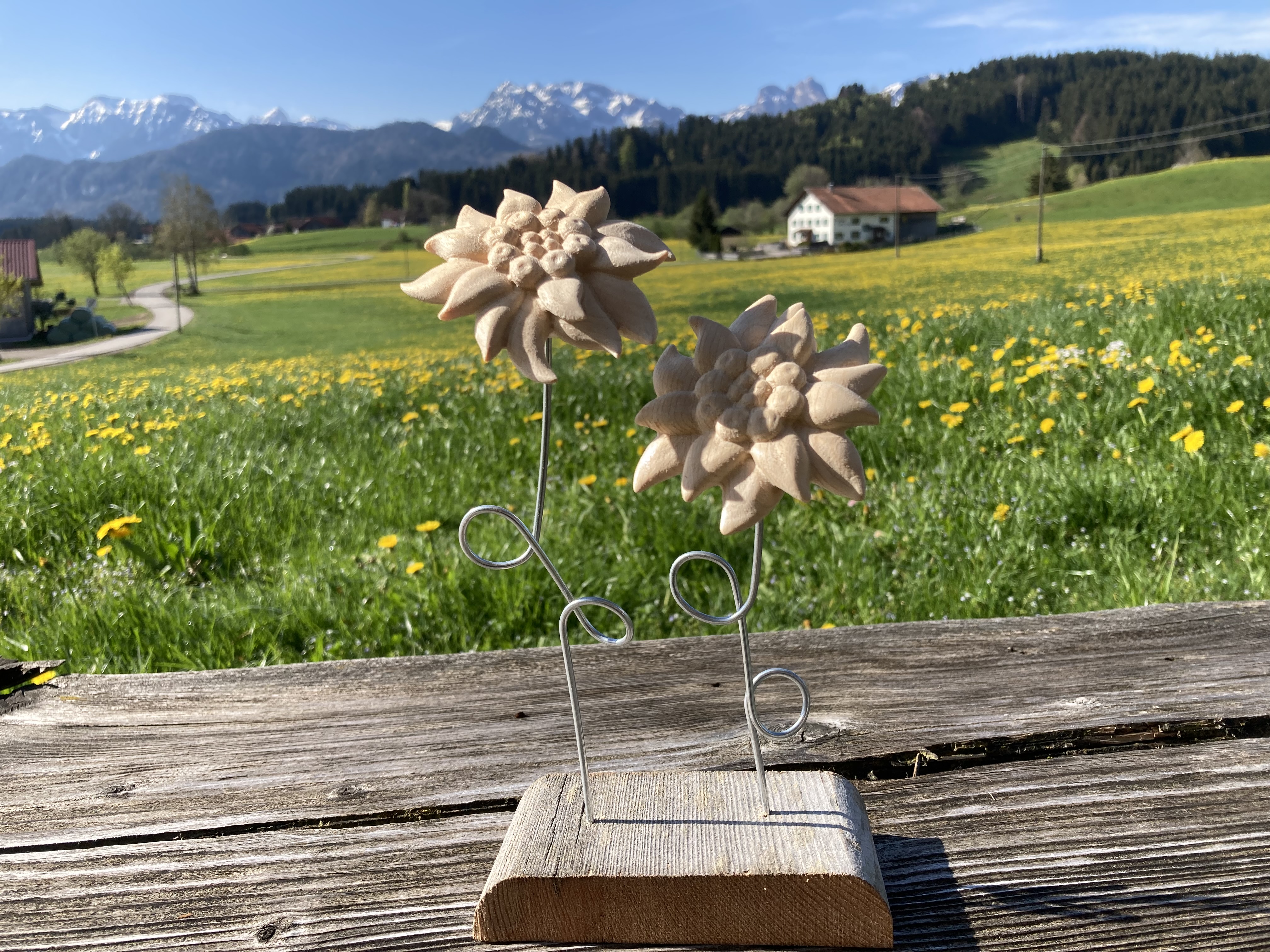 Edelweißblüte aus Holz mit Metallstängel