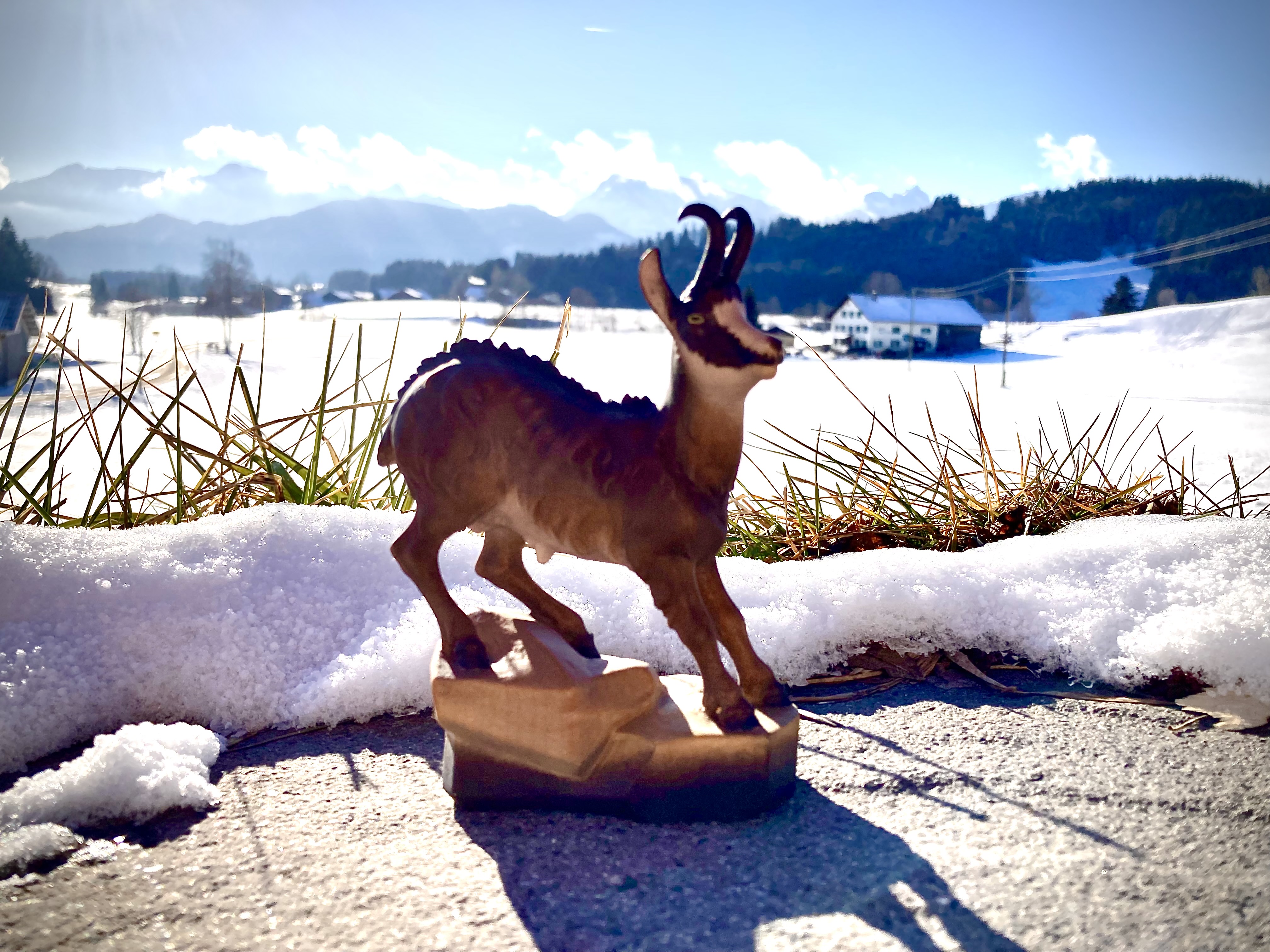 Gamsbock oder Gämse aus Holz geschnitzt